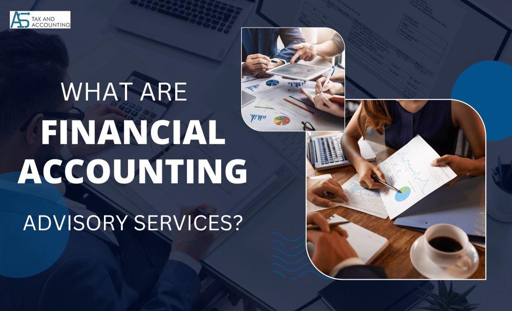 What Is A Financial Accounting & Advisory Services